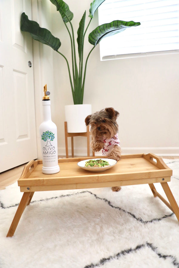 HOW OLIVE OIL CAN BENEFIT OUR PETS