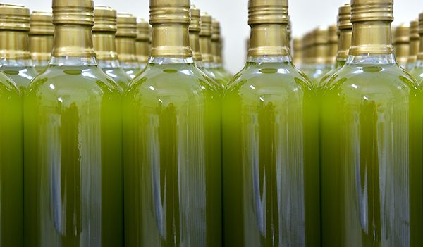 The Truth Behind The Olive Oil Market